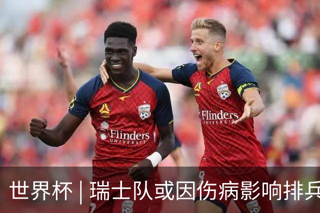 世界杯 | 瑞士队或因伤病影响排兵布阵