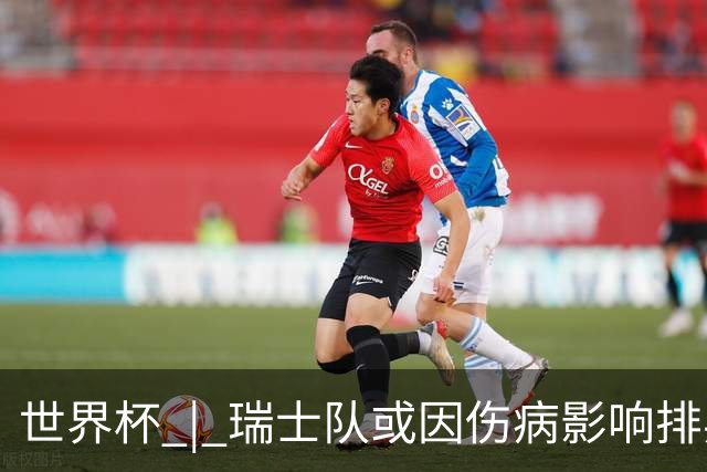世界杯 | 瑞士队或因伤病影响排兵布阵